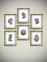 Láminas Decorativas de Arte 'Grand Tour'