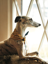 Bandana Para Perro 'Checked'