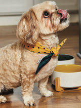 Bandana Para Perro 'Checked'