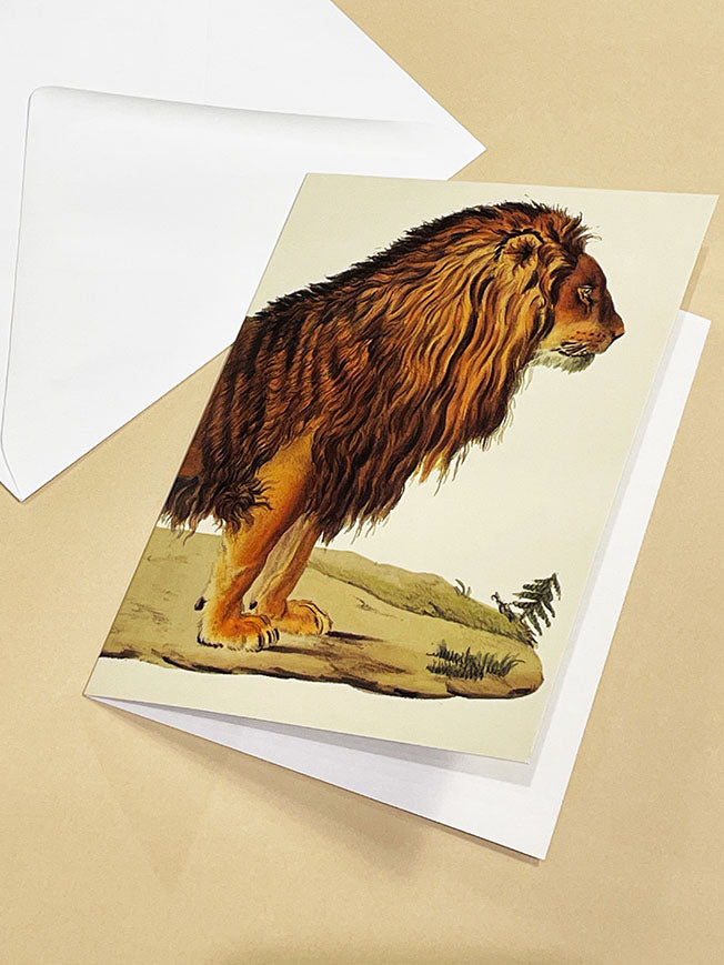 Tarjeta 'A Barbary Lion' - British Library