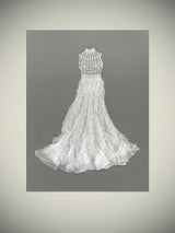 Libro 'Christian Dior - Designer of Dreams'