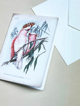 Tarjeta 'Cacatúas Rosas'