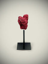 Réplica Decorativa 'Coral Rojo'