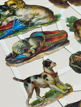 Hoja Cromos Alemanes 'Perros'