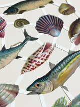 Hoja Cromos Alemanes 'Peces y Caracolas'