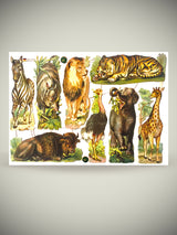 Hoja Cromos Alemanes 'Safari Animal'