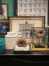 Cuadro Decorativo 'Villa Caprarola I' - 40x50