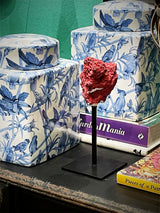 Réplica Decorativa 'Coral Rojo'