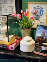 Ramo de 5 Tulipanes Rosas y Blancos 'Brigitte'