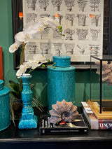 Orquídea Blanca en Jarrón de Cristal 'Phalaenopsis'