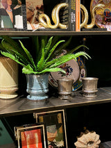 Helecho Decorativo 'Baker' 40 cm