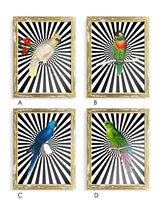 Láminas decorativas 'Loros y Rayas'