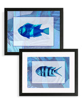 Láminas Decorativas 'Peces Azules'