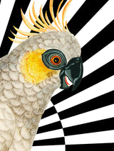 Láminas decorativas 'Loros y Rayas'