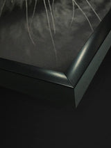 Lámina Enmarcada 'León' - 50x70 cm