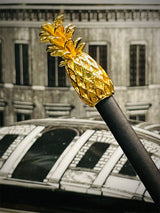 Lápiz 'Piña Gold' - Negro