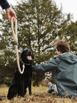 Correa Para Perro 'Marino'