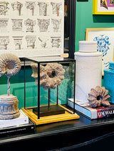 Réplica Decorativa 'Caracola' sobre Peana