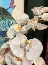 Orquídea Blanca en Jarrón de Cristal 'Phalaenopsis'