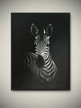 Lámina Enmarcada ‘Cebra’ 50x70 cm