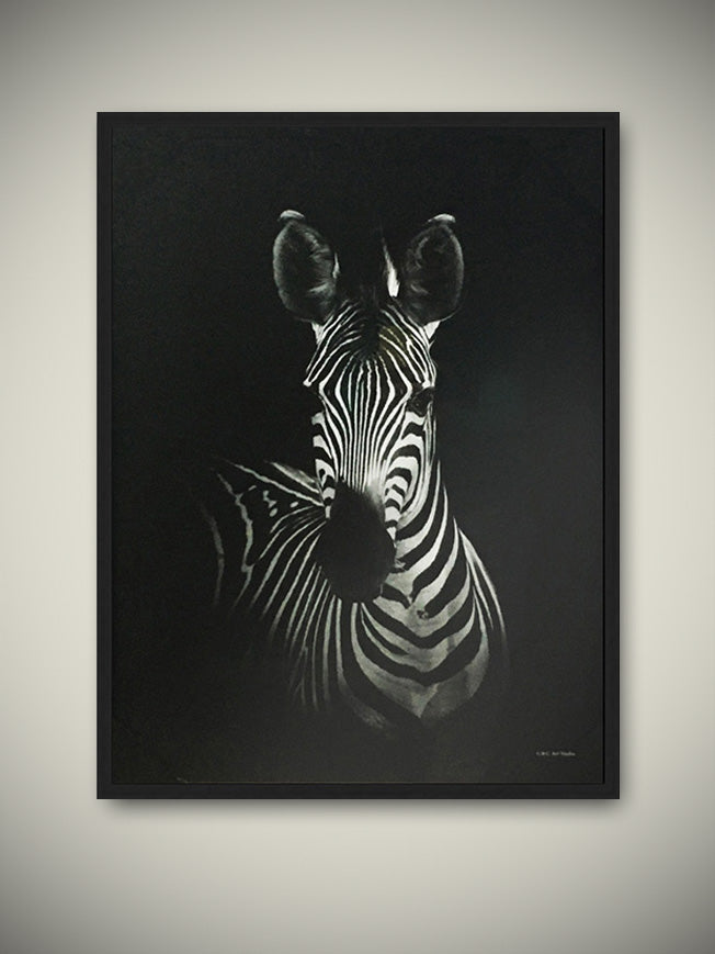 Lámina Enmarcada ‘Cebra’ 50x70 cm