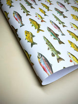 Papel Envoltorio 'Fishing' - 50x70 cm