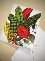 Tarjeta 'The Illustrated Bouquet' - British Library