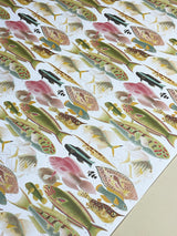 Papel Envoltorio Reversible 'Great Barrier Reef' - 50x70 cm