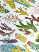 Papel Envoltorio Reversible 'Great Barrier Reef' - 50x70 cm