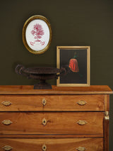 Miniatura Ovalada 'Seaweed Algae'