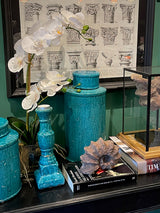 Orquídea Blanca en Jarrón de Cristal 'Phalaenopsis'