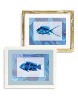 Láminas Decorativas 'Peces Azules'