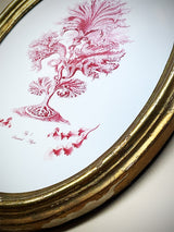 Miniatura Ovalada 'Seaweed Algae'