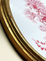 Miniatura Ovalada 'Seaweed Algae'