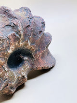 Réplica Decorativa 'Caracola'