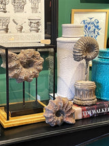 Réplica Decorativa 'Caracola' sobre Peana