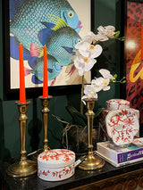 Orquídea Blanca en Jarrón de Cristal 'Phalaenopsis'