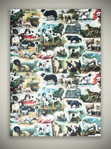 Papel Envoltorio 'Darling, The Dogs Are Alright' - 100x70 cm