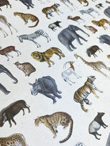 Wrapping Paper 'Safari' - 70x50 cm