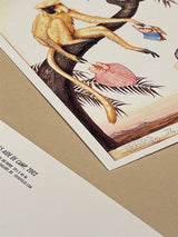 Postal 'The Forsaken' - Walton Ford, 1999