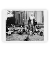 Postal 'The Duchess of Devonshire Feeding Her Chickens' - Bruce Weber