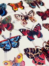 Hoja Cromos Alemanes 'Mariposas II'