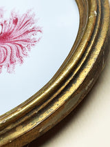 Miniatura Ovalada 'Seaweed Algae'