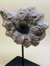 Réplica Decorativa 'Caracola' sobre Peana