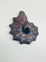 Réplica Decorativa 'Caracola'