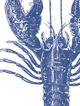 servilletas-papel-dibujo-langosta-azul