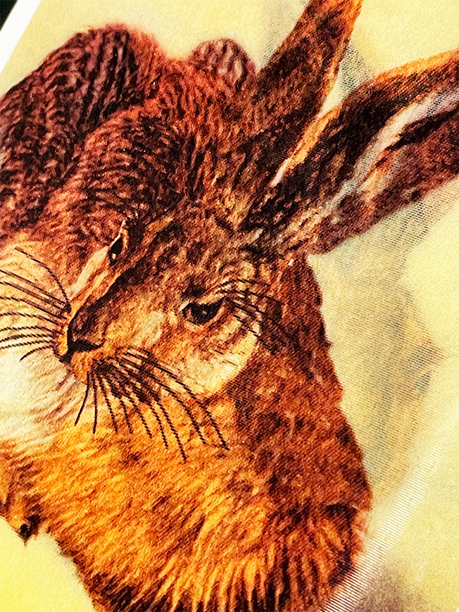 Tarjeta 3D 'Conejo' - Albert Dürer
