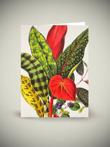 Tarjeta 'The Illustrated Bouquet' - British Library