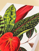 Tarjeta 'The Illustrated Bouquet' - British Library