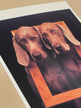 Postal 'Framed' - William Wegman, 1932